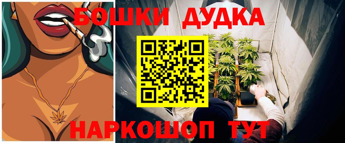 Каннабис сатива Саранск